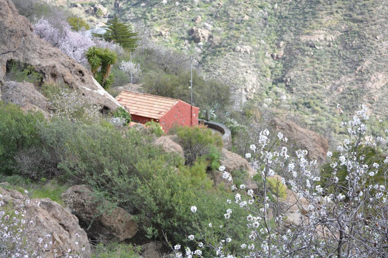 Vila Casa Cueva El Pedregal Tejeda Exteriér fotografie