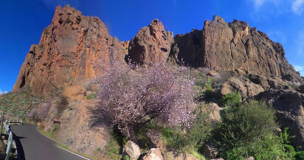 Vila Casa Cueva El Pedregal Tejeda Exteriér fotografie